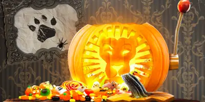 Win with Halloween